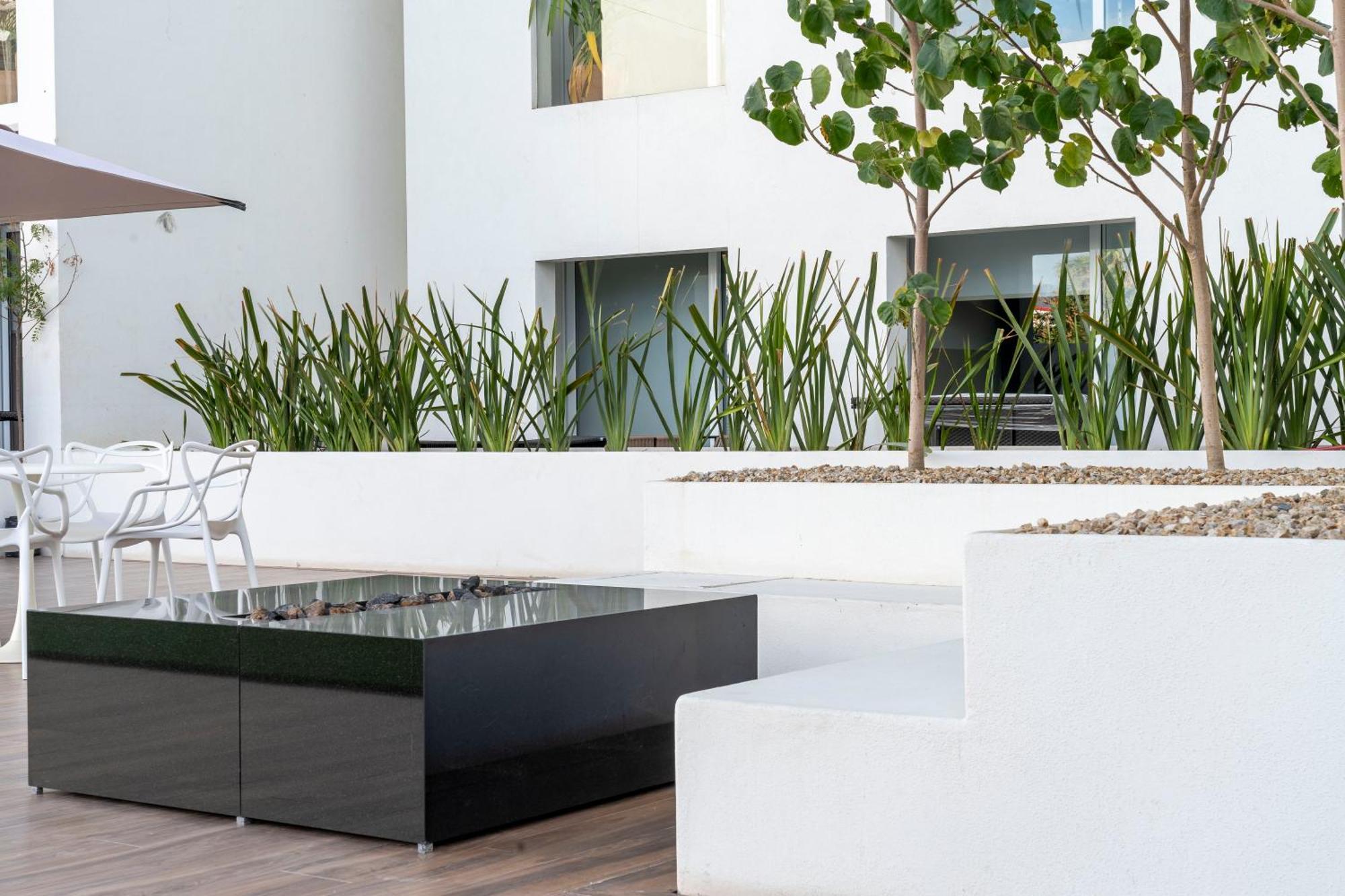 Luxury Apartment With Pool And Jacuzzi On Terrace In Medano 卡波圣卢卡斯 外观 照片